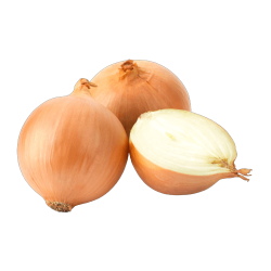 পেঁয়াজ
