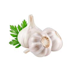 রসুন